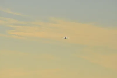 DSC_5687 (Large).JPG